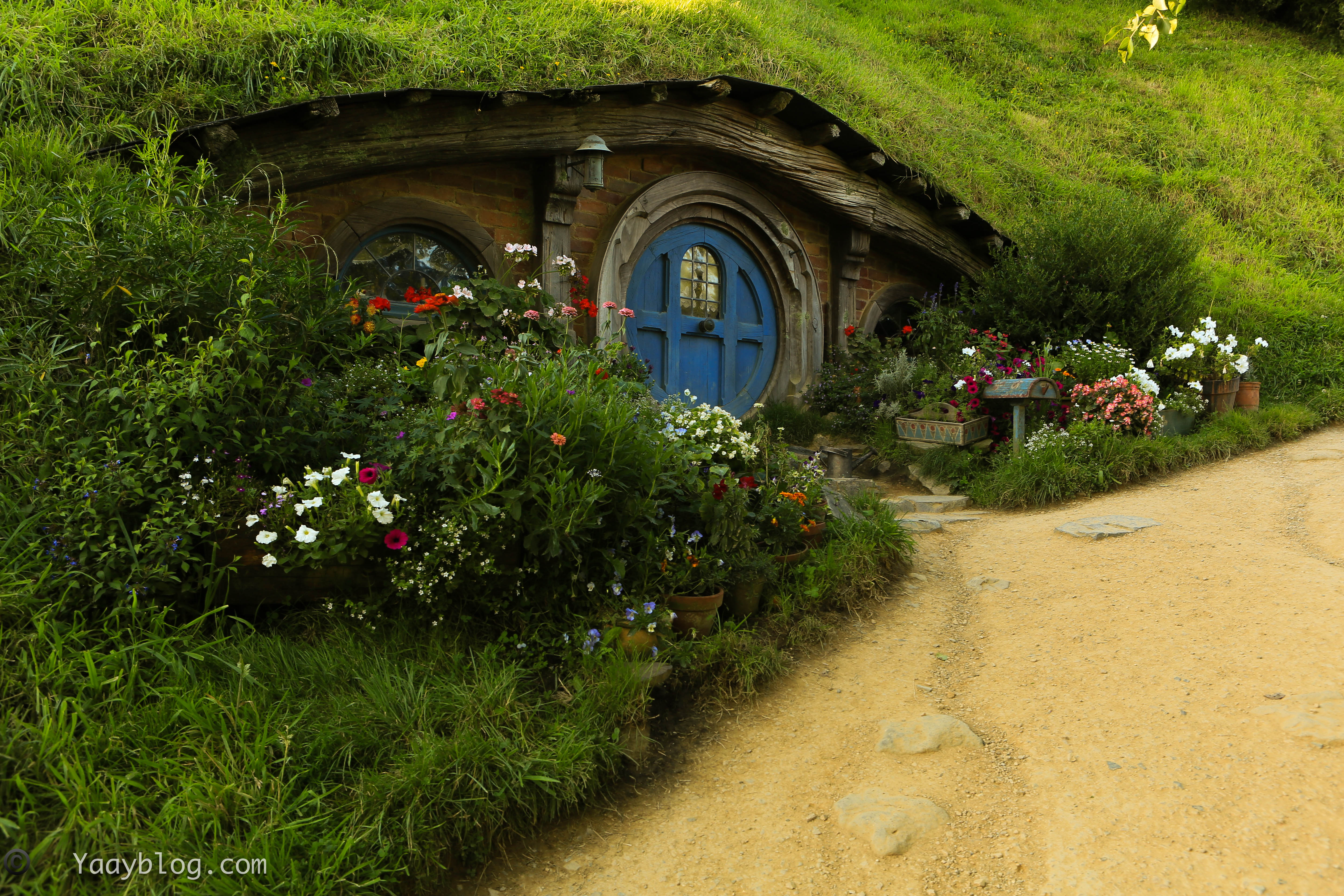 blue door hobbit home